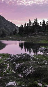 Preview wallpaper lake, mountains, trees, stones