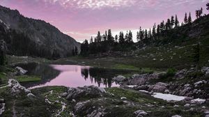 Preview wallpaper lake, mountains, trees, stones