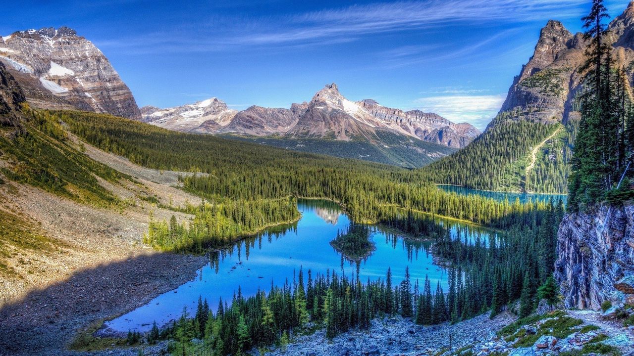 Wallpaper lake, mountains, trees, grass