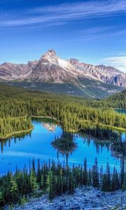 Preview wallpaper lake, mountains, trees, grass