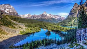 Preview wallpaper lake, mountains, trees, grass