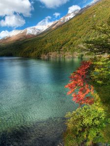 Preview wallpaper lake, mountains, water table, transparent