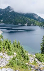 Preview wallpaper lake, nature, mountains, trees