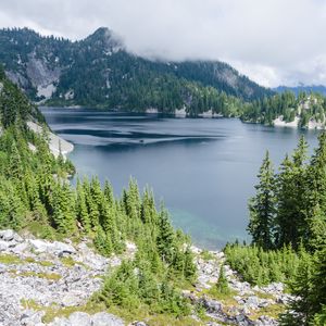 Preview wallpaper lake, nature, mountains, trees