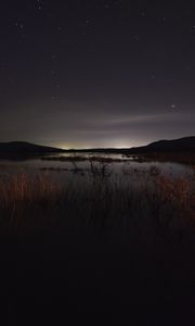 Preview wallpaper lake, night, starry sky, grass, darkness