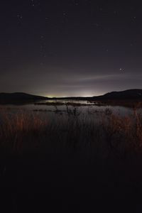 Preview wallpaper lake, night, starry sky, grass, darkness