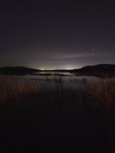Preview wallpaper lake, night, starry sky, grass, darkness