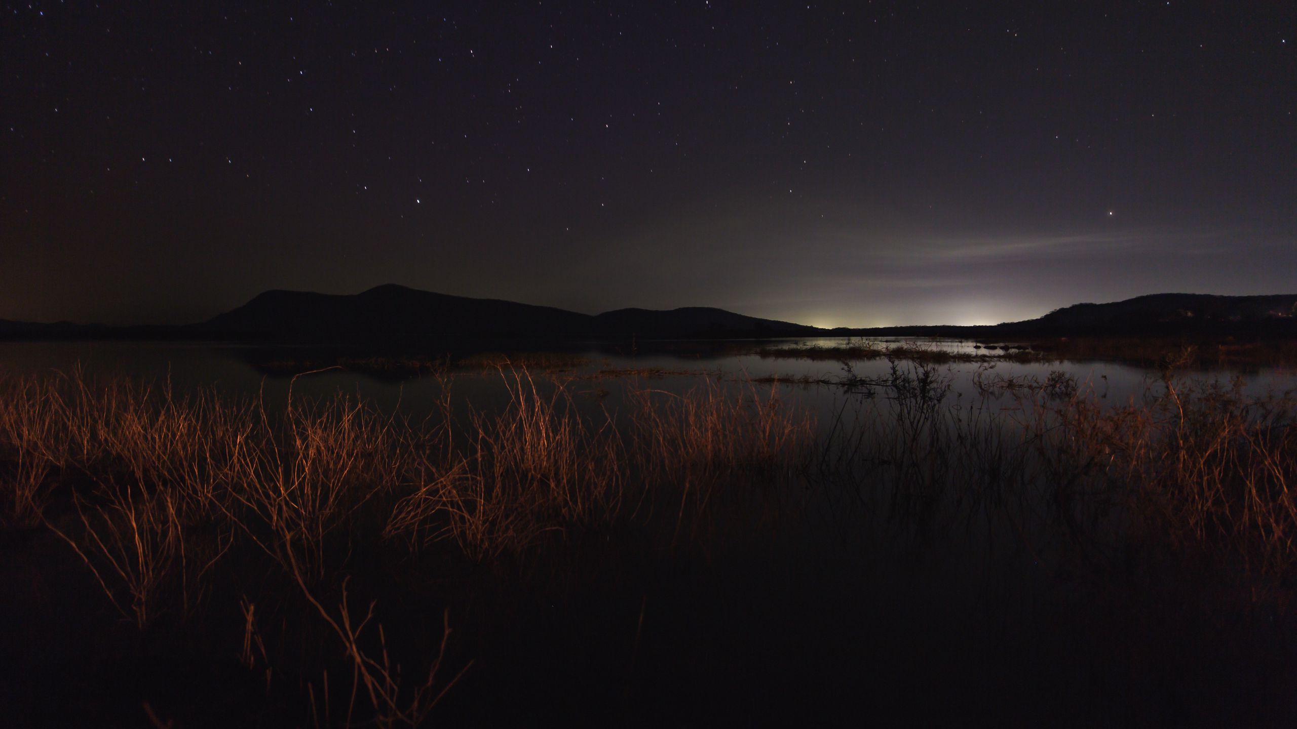 Download wallpaper 2560x1440 lake, night, starry sky, grass, darkness