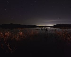 Preview wallpaper lake, night, starry sky, grass, darkness