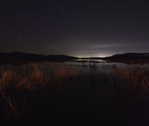 Preview wallpaper lake, night, starry sky, grass, darkness