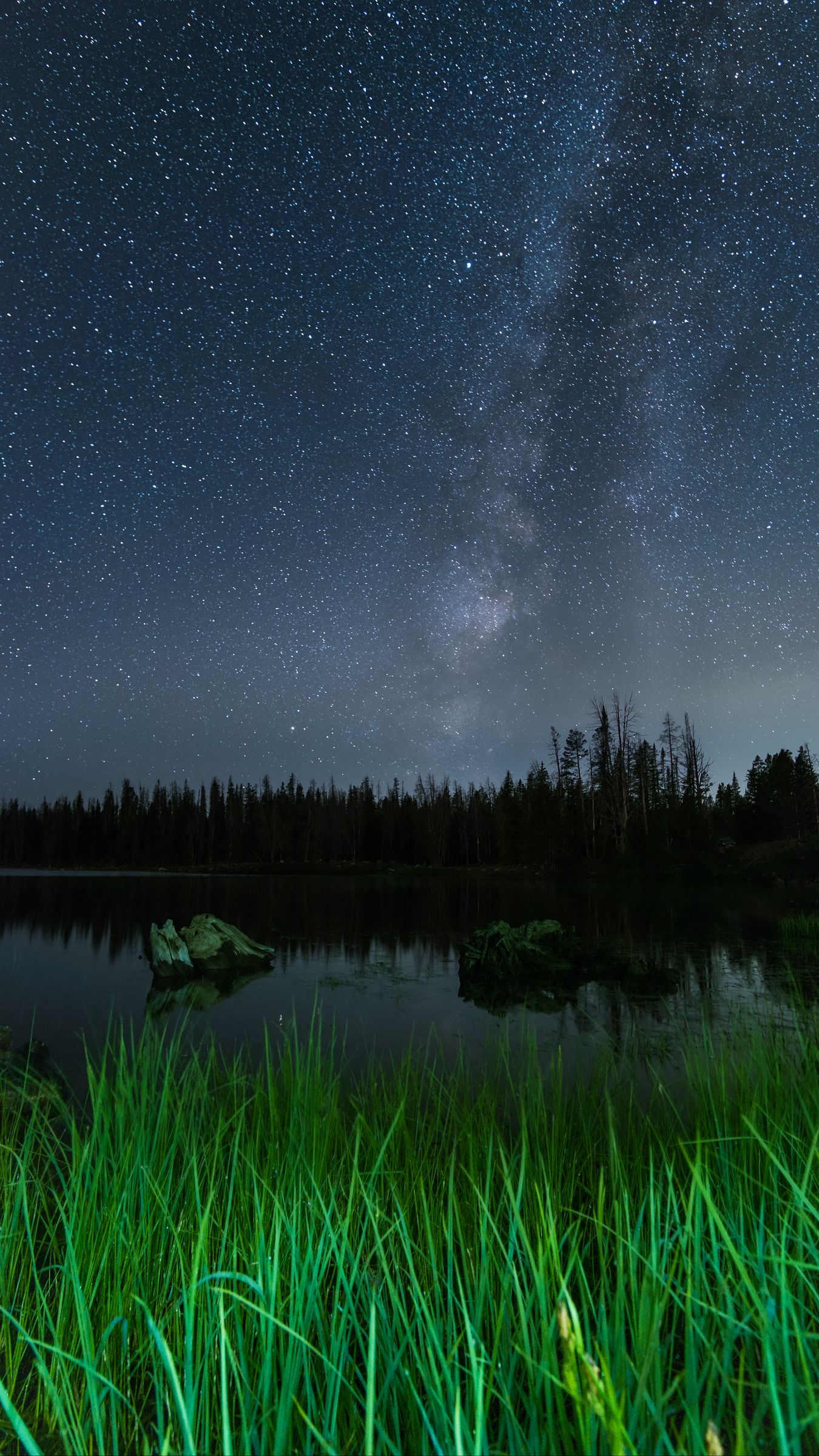 Download wallpaper 1350x2400 lake, night, starry sky, grass, trees