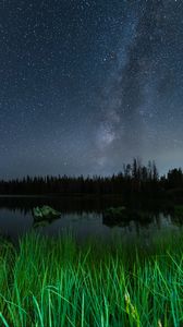 Preview wallpaper lake, night, starry sky, grass, trees