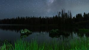 Preview wallpaper lake, night, starry sky, grass, trees