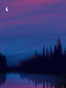Preview wallpaper lake, night, starry sky, landscape, art