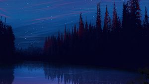 Preview wallpaper lake, night, starry sky, landscape, art