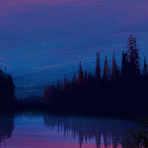 Preview wallpaper lake, night, starry sky, landscape, art