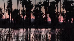 Preview wallpaper lake, palm trees, dark, dusk, landscape