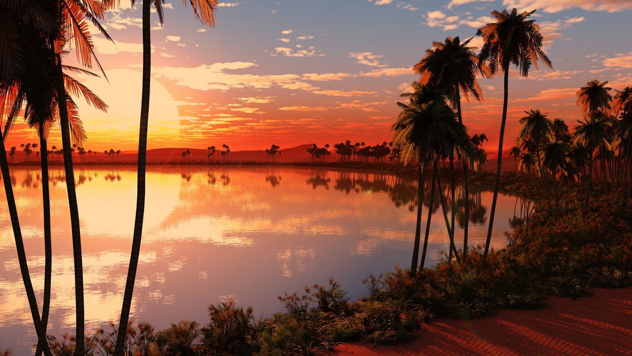 Wallpaper lake, palm trees, decline, sun, evening, orange, horizon