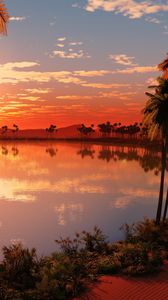 Preview wallpaper lake, palm trees, decline, sun, evening, orange, horizon