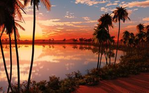 Preview wallpaper lake, palm trees, decline, sun, evening, orange, horizon