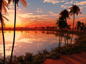 Preview wallpaper lake, palm trees, decline, sun, evening, orange, horizon