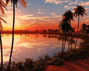 Preview wallpaper lake, palm trees, decline, sun, evening, orange, horizon