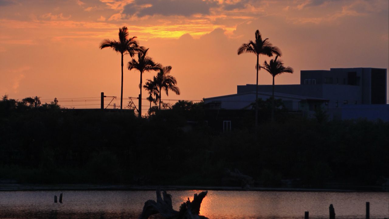 Wallpaper lake, palm trees, sunset, dusk, dark