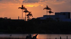 Preview wallpaper lake, palm trees, sunset, dusk, dark