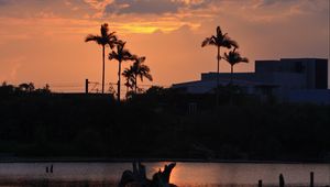 Preview wallpaper lake, palm trees, sunset, dusk, dark