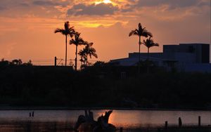 Preview wallpaper lake, palm trees, sunset, dusk, dark