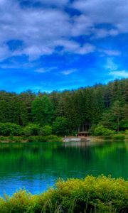 Preview wallpaper lake, picturesque, colors, green