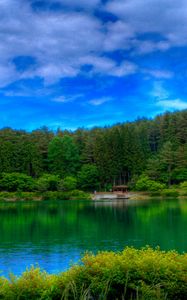 Preview wallpaper lake, picturesque, colors, green