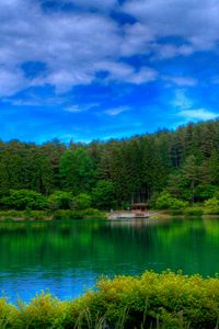 Preview wallpaper lake, picturesque, colors, green