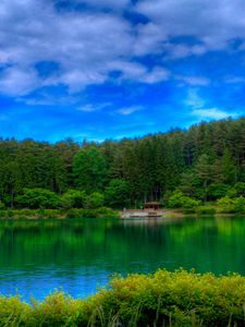 Preview wallpaper lake, picturesque, colors, green