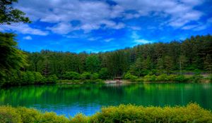 Preview wallpaper lake, picturesque, colors, green