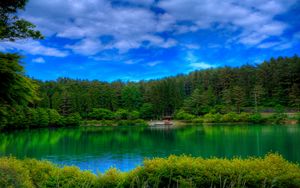 Preview wallpaper lake, picturesque, colors, green