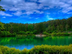 Preview wallpaper lake, picturesque, colors, green