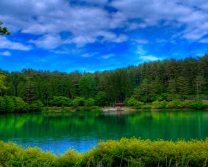 Preview wallpaper lake, picturesque, colors, green