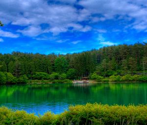 Preview wallpaper lake, picturesque, colors, green