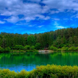 Preview wallpaper lake, picturesque, colors, green