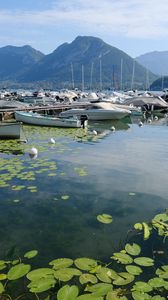 Preview wallpaper lake, pier, boats, mountains, water lilies, nature