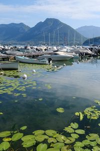 Preview wallpaper lake, pier, boats, mountains, water lilies, nature