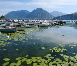 Preview wallpaper lake, pier, boats, mountains, water lilies, nature