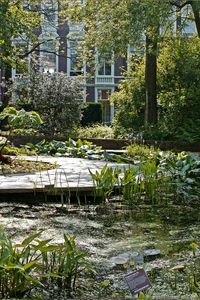 Preview wallpaper lake, pond, garden, water-lilies, plate, yard, vegetation