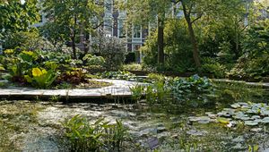 Preview wallpaper lake, pond, garden, water-lilies, plate, yard, vegetation