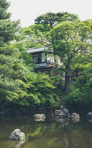 Preview wallpaper lake, pond, japan, building