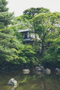 Preview wallpaper lake, pond, japan, building