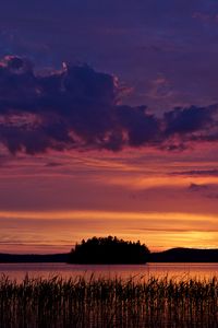 Preview wallpaper lake, reeds, glow, sunset, dark
