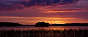 Preview wallpaper lake, reeds, glow, sunset, dark