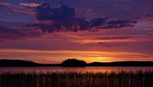 Preview wallpaper lake, reeds, glow, sunset, dark